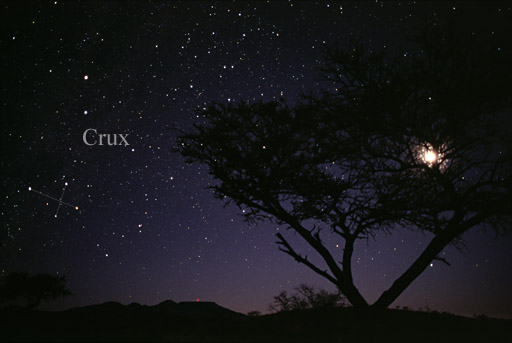 Constellation Crux